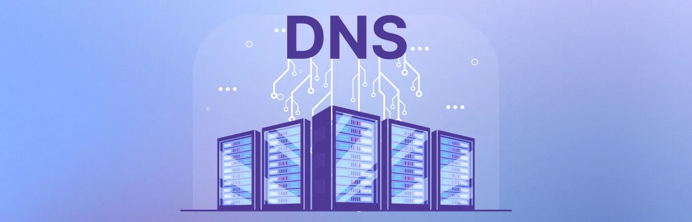 DNS: principles, history and security