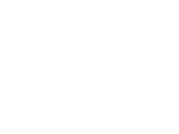 FlexCard
